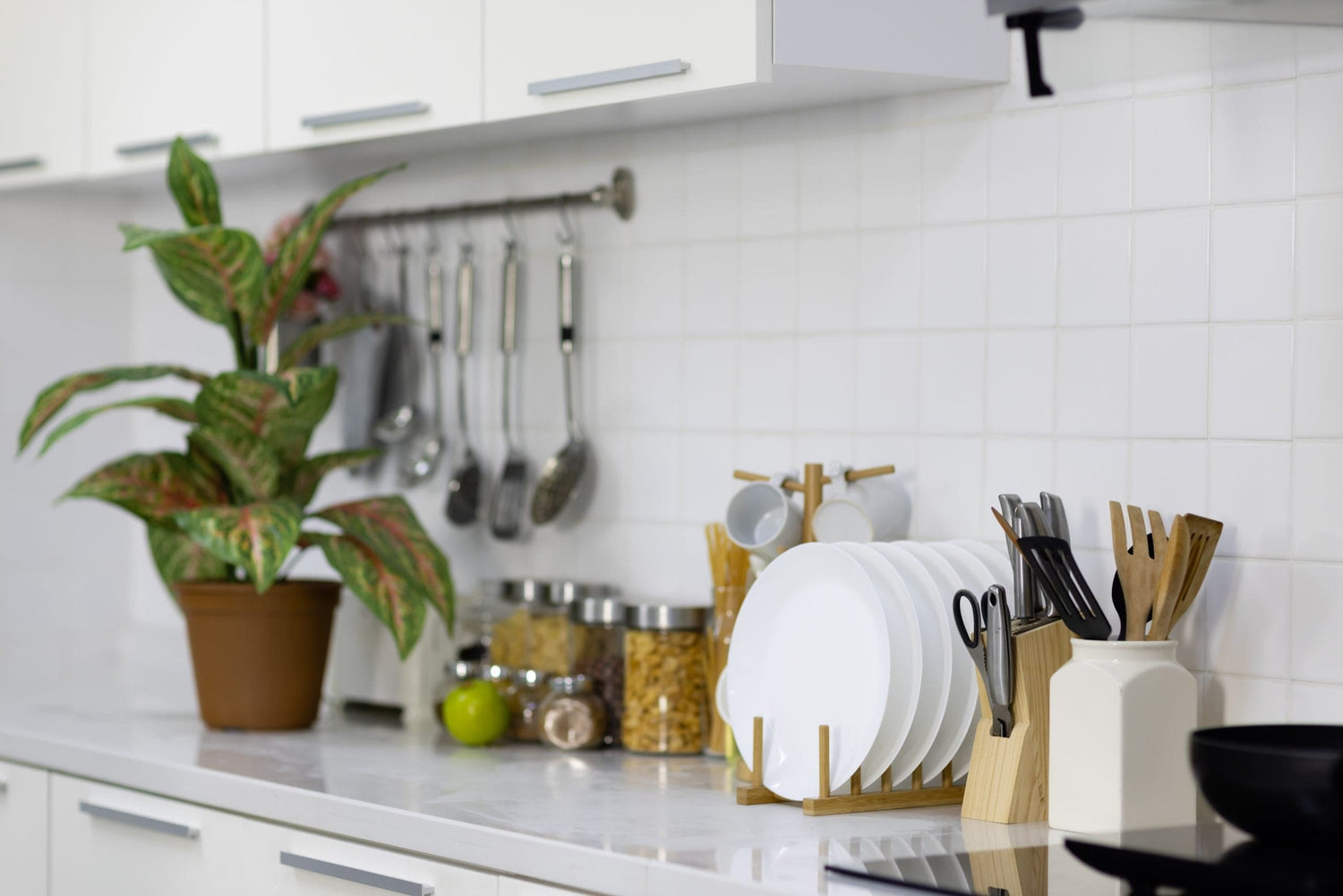Home, Kitchen & Garden