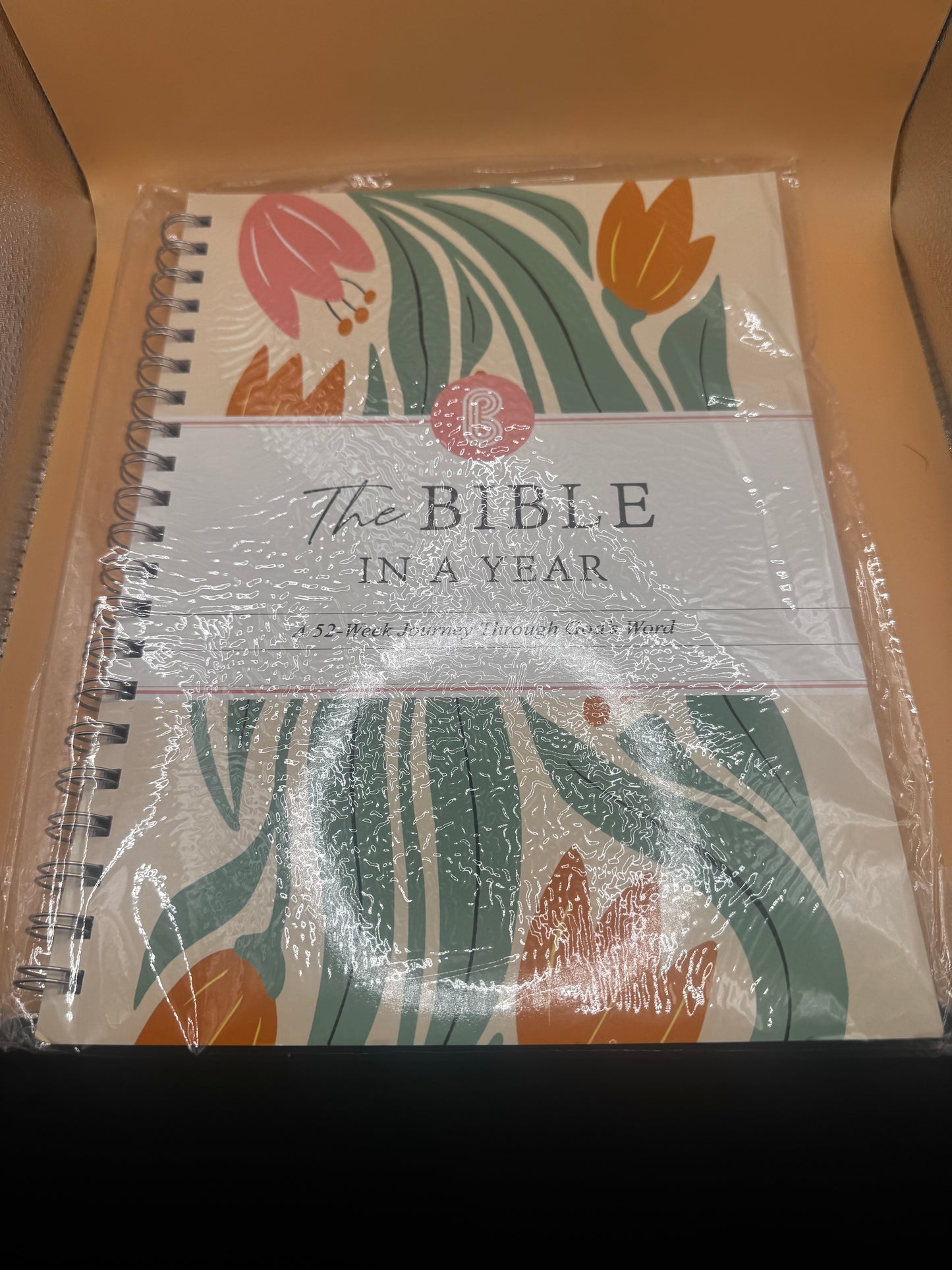The Bible In A Year: A 52-Week Journey Through God's Word (Softcover) New Sealed