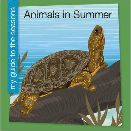 My Guide to the Seasons Children's Book Series Choose From Four Seasons New