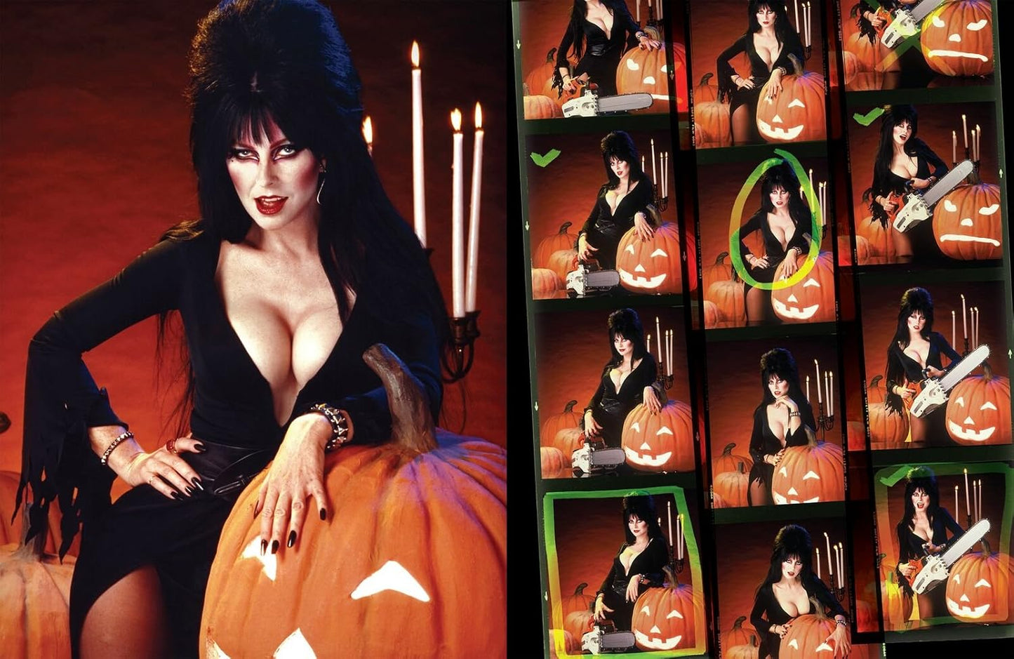 Elvira Mistress of the Dark Photo Biography HC Hardcover