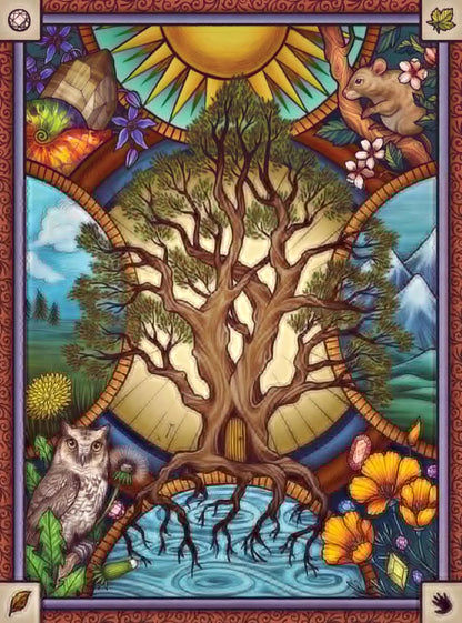 Wild Wisdom Collection A Three-Book Set; Includes 108 Oracle Cards Hardcover New