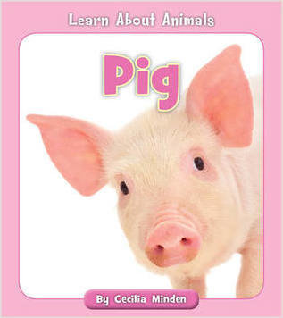 Learn About Animals Decodable Series Choose From 10 Animals or Collect Them All