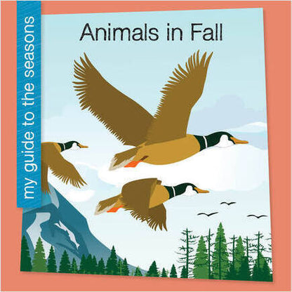 My Guide to the Seasons Children's Book Series Choose From Four Seasons New