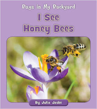 I see Bugs in My Backyard! Book Series Choose From 8 Titles