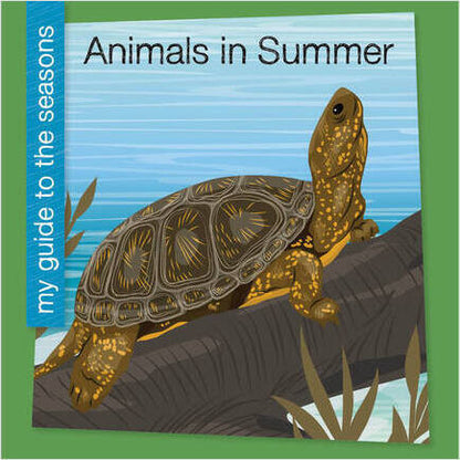 My Guide to the Seasons Children's Book Series Choose From Four Seasons New