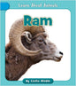 Learn About Animals Decodable Series Choose From 10 Animals or Collect Them All
