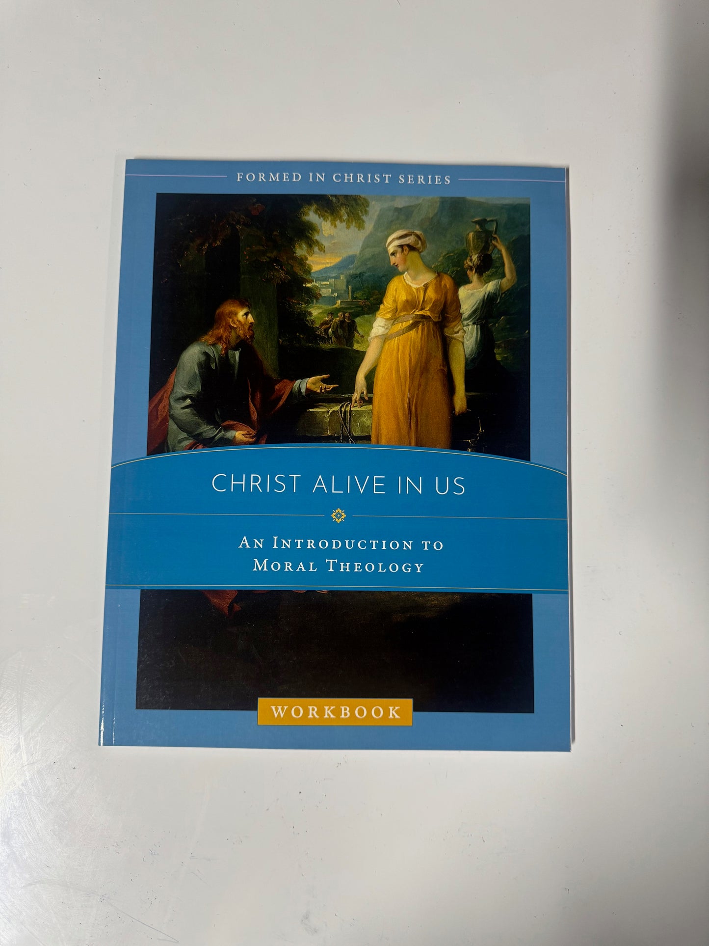 Christ Alive in Us: An Introduction to Moral Theology Workbook Paperback New