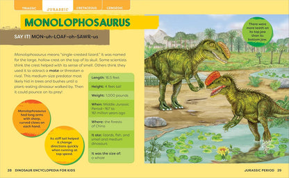 Dinosaur Encyclopedia for Kids: The Big Book of Prehistoric Creatures Hardback