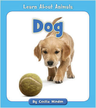 Learn About Animals Decodable Series Choose From 10 Animals or Collect Them All