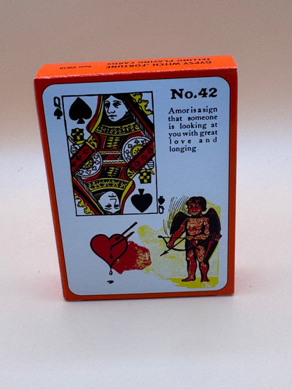 Gypsy Witch Fortune Telling Card Deck New