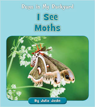 I see Bugs in My Backyard! Book Series Choose From 8 Titles